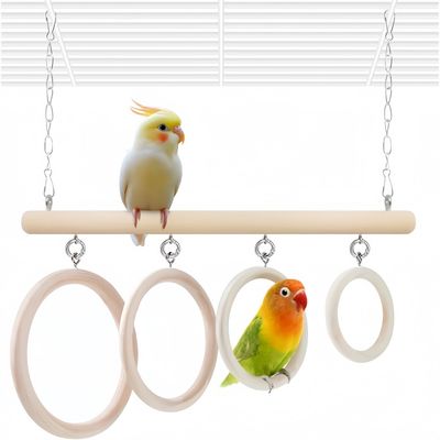ZooVenture Jouet Balançoire à anneaux pour oiseaux de compagnie