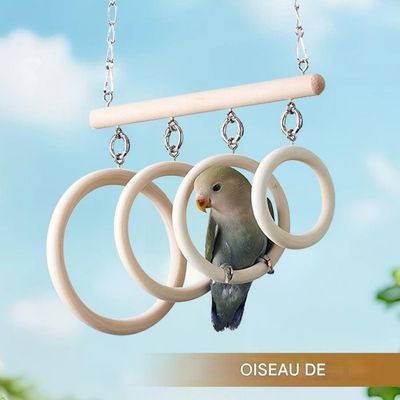 ZooVenture Juguete columpio de aro para pájaros mascota