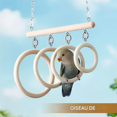 ZooVenture Jouet Balançoire à anneaux pour oiseaux de compagnie