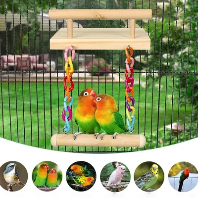 ZooVenture Balançoire en bois pour perroquet