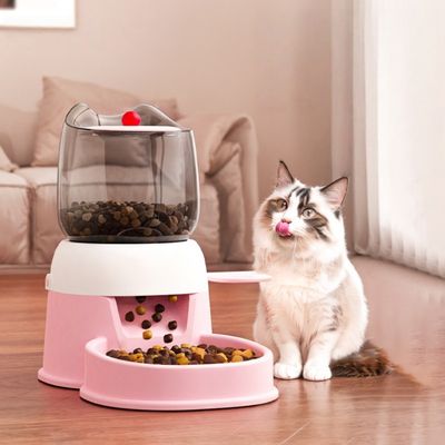 ZooVenture Dispensador automático de comida para gatos y perros