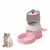 ZooVenture Distributeur de nourriture pour chats et chiens