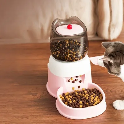 ZooVenture Distributeur de nourriture pour chats et chiens
