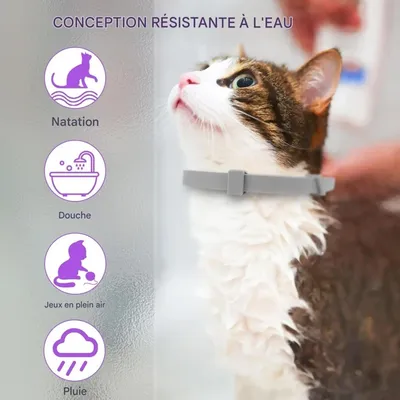 ZooVenture 4 Pcs Collier Anti Stress Pour Chat