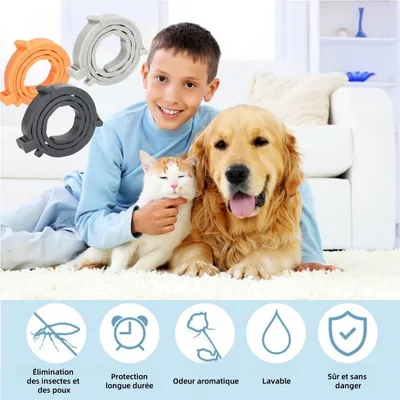 ZooVenture 3 Pcs Collier Anti Puces Réglable Naturel Pour Chien Et Chat