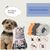 ZooVenture 3 Pcs Collier Anti Puces Réglable Naturel Pour Chien Et Chat