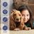 Rocky Huile de saumon pour animaux de compagnie 300g