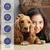 Rocky Huile de saumon pour animaux de compagnie 300g