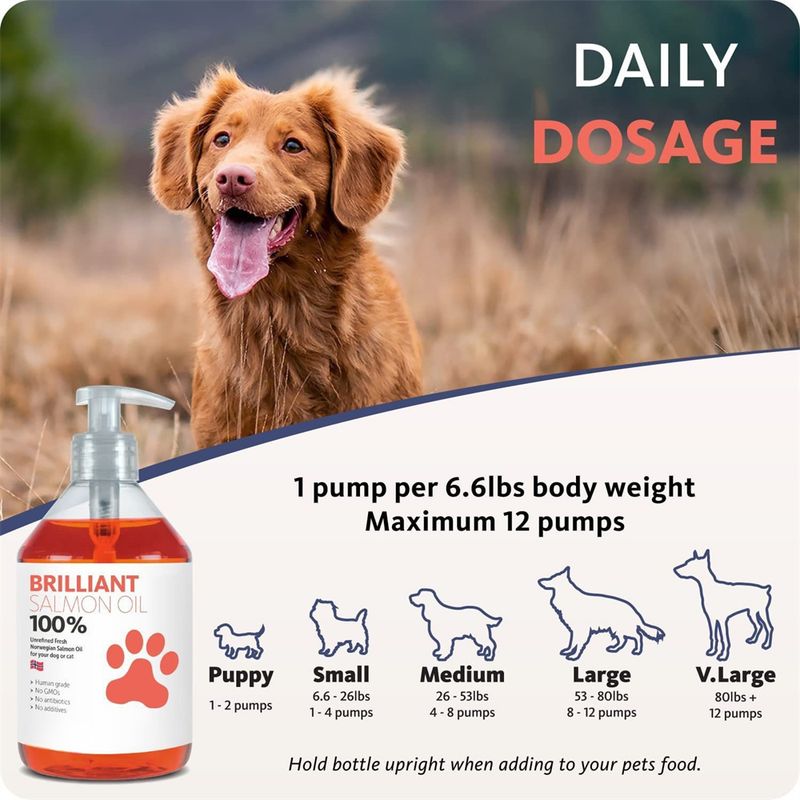 Rocky Huile de saumon pour animaux de compagnie 300g