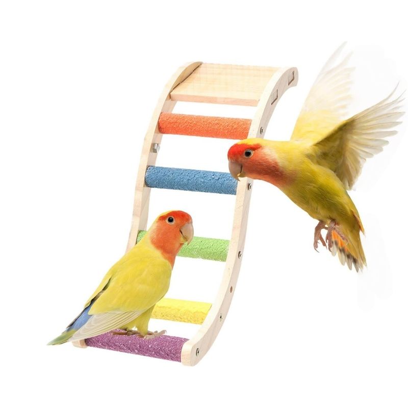 ZooVenture Échelle en bois pour oiseaux