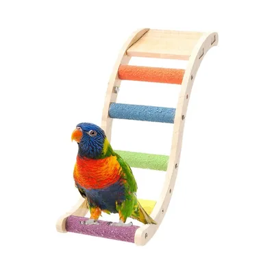 ZooVenture Échelle en bois pour oiseaux