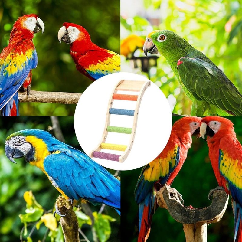 ZooVenture Échelle en bois pour oiseaux