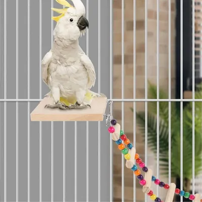 ZooVenture Échelle en bois pour oiseaux