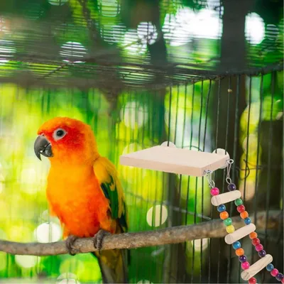 ZooVenture Échelle en bois pour oiseaux