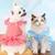 Rocky Costume et robe de chat Rocky Costume et robe de chat