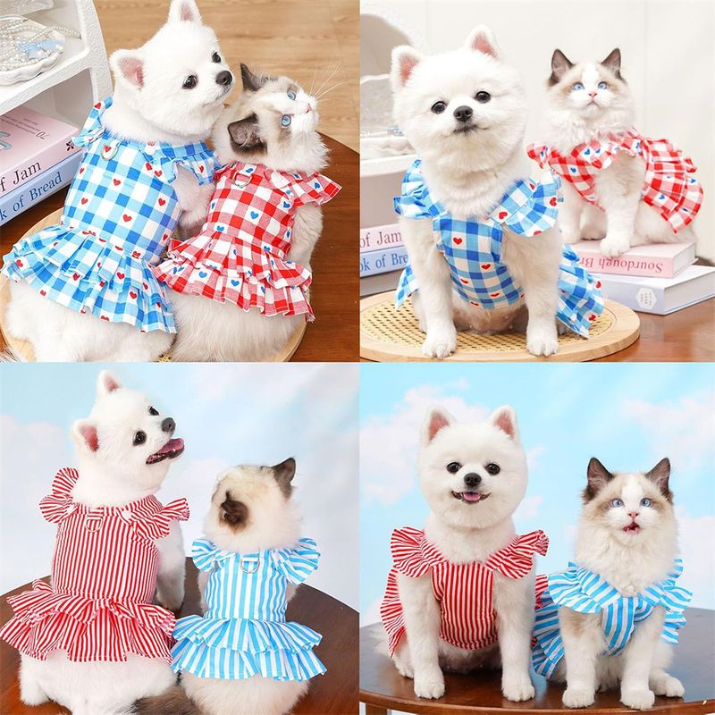 Rocky Costume et robe de chat