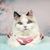 Zoomtopia Combinaison de convalescence pour chat