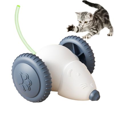 Rocky Jouet pour chat