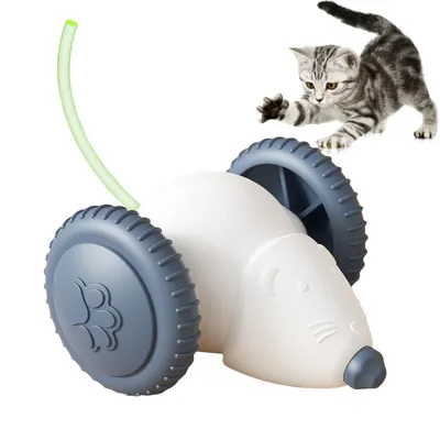 Rocky Jouet pour chat Rocky Jouet pour chat