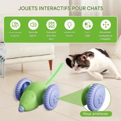 Rocky Jouet pour chat