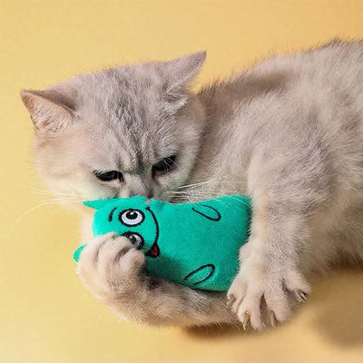 Rocky Paws  agressifs à mâcher, peluches douces et interactifs