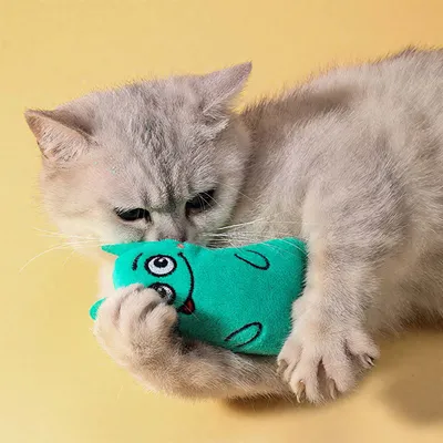 Rocky Paws  agressifs à mâcher, peluches douces et interactifs