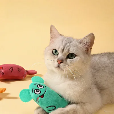 Rocky Paws  agressifs à mâcher, peluches douces et interactifs