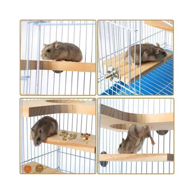 Zoomtopia Accessoire pour cage en bois pour petits animaux