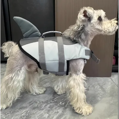 Zoomtopia Professioneller Schutz für Hunde Zoomtopia Professioneller Schutz für Hunde