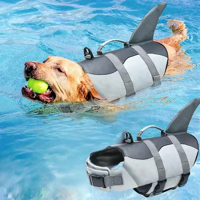 Zoomtopia Professioneller Schutz für Hunde Zoomtopia Professioneller Schutz für Hunde