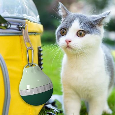 Rocky Bouteilles d'eau pour animaux de compagnie