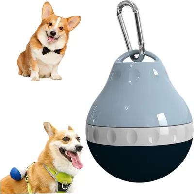 Rocky Bouteilles d'eau pour animaux de compagnie