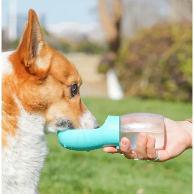Zoomtopia Tasse pour boisson