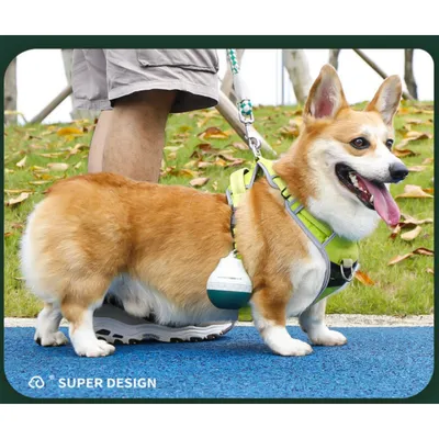 Zoomtopia Distributeur d'eau de voyage pour animaux de compagnie