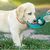 Zoomtopia Bouchon Abreuvoir pour Animaux