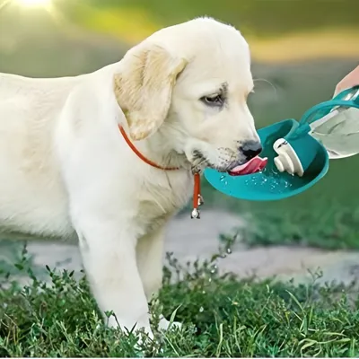 Zoomtopia Bouchon Abreuvoir pour Animaux