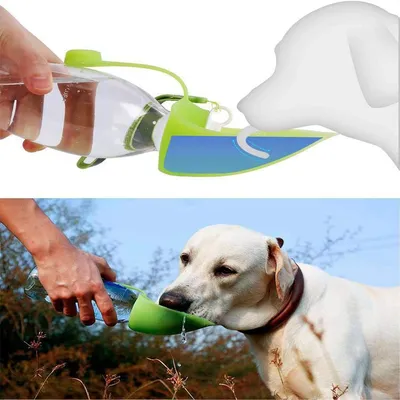 Rocky Bouteille d'eau pour animaux de compagnie
