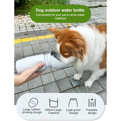 Zoomtopia Trinkflasche für Hunde
