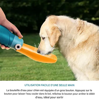 Rocky Bouteille à boire pour chien