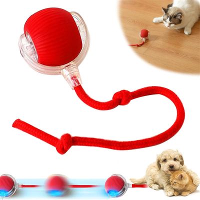 Rocky Balle roulante pour chien