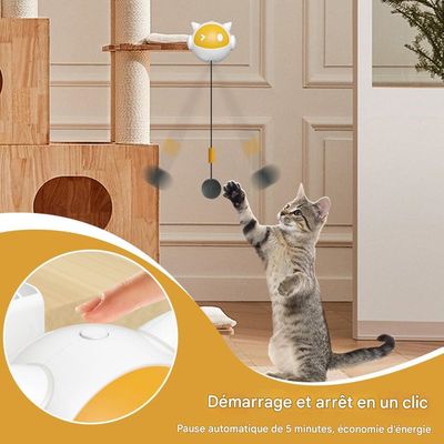 Rocky Jouet pour chat avec corde