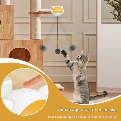 Rocky Jouet pour chat avec corde