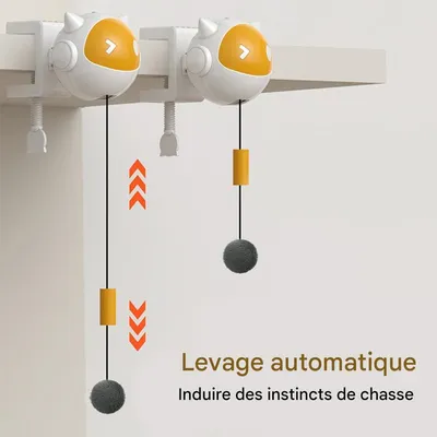 Rocky Jouet pour chat avec corde