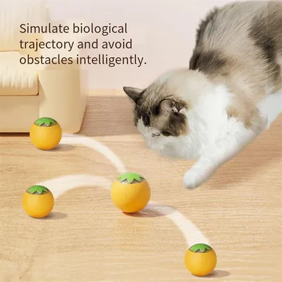 Rocky Balle de jeu interactif pour animaux