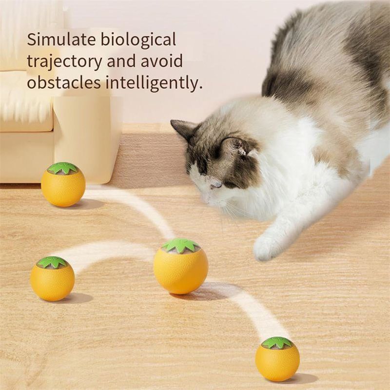 Rocky Balle de jeu interactif pour animaux