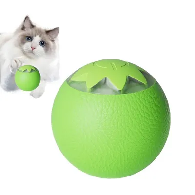 Rocky Balle de jeu interactif pour animaux