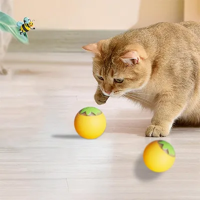Rocky Balle de jeu interactif pour animaux