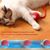 Rocky Balle roulante pour chien