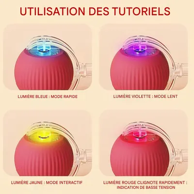 Rocky Balle roulante pour chien