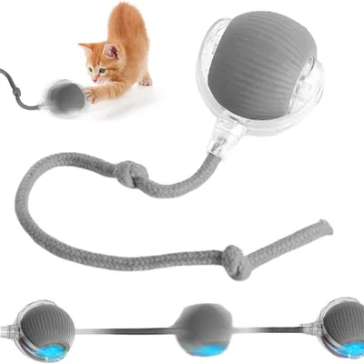 Rocky Balle roulante pour chien